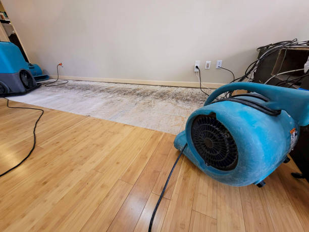Professional Flood Damage Cleanup technician working in Osawatomie, KS